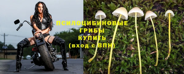 ALPHA-PVP Михайловск