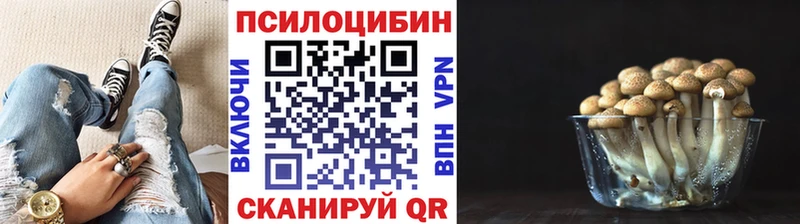 Галлюциногенные грибы Magic Shrooms  Купить закладки  Новохопёрск 